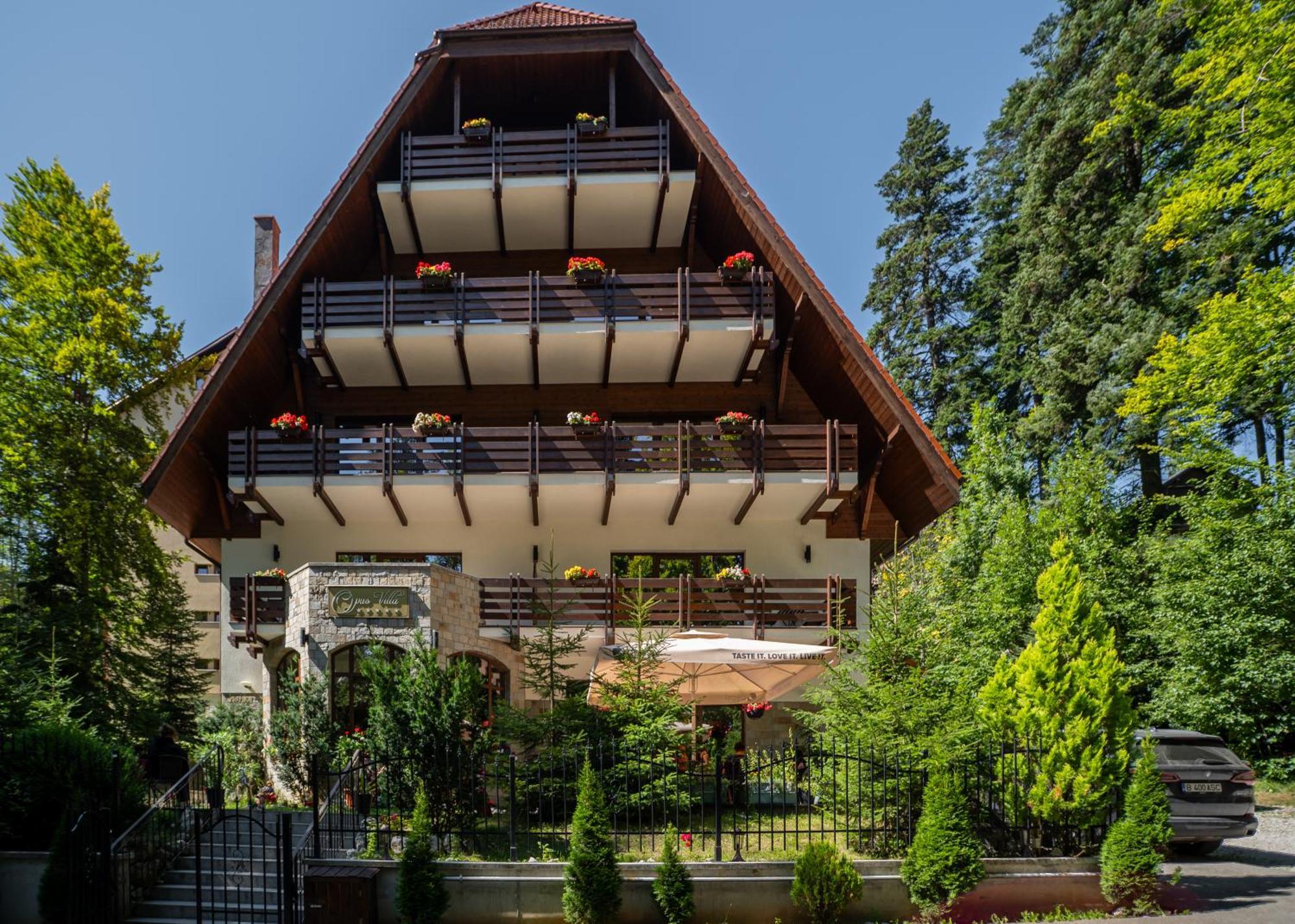 Opus Villa Sinaia Eksteriør bilde The chalet in 2012